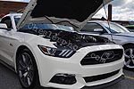 2015 Mustang Rally Car Show